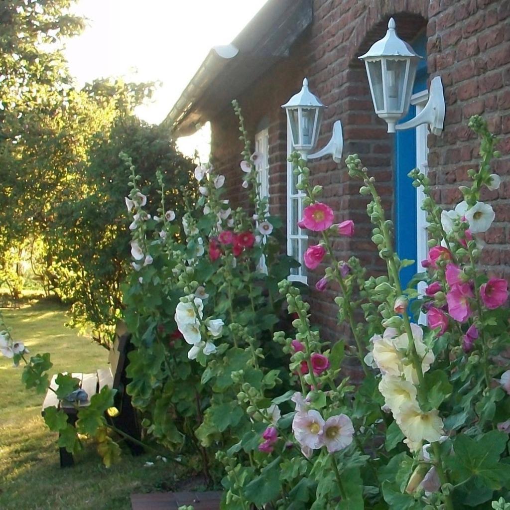 Haus Wolfram App Jonny Morsumer Kliff Morsum (Sylt) Exterior foto